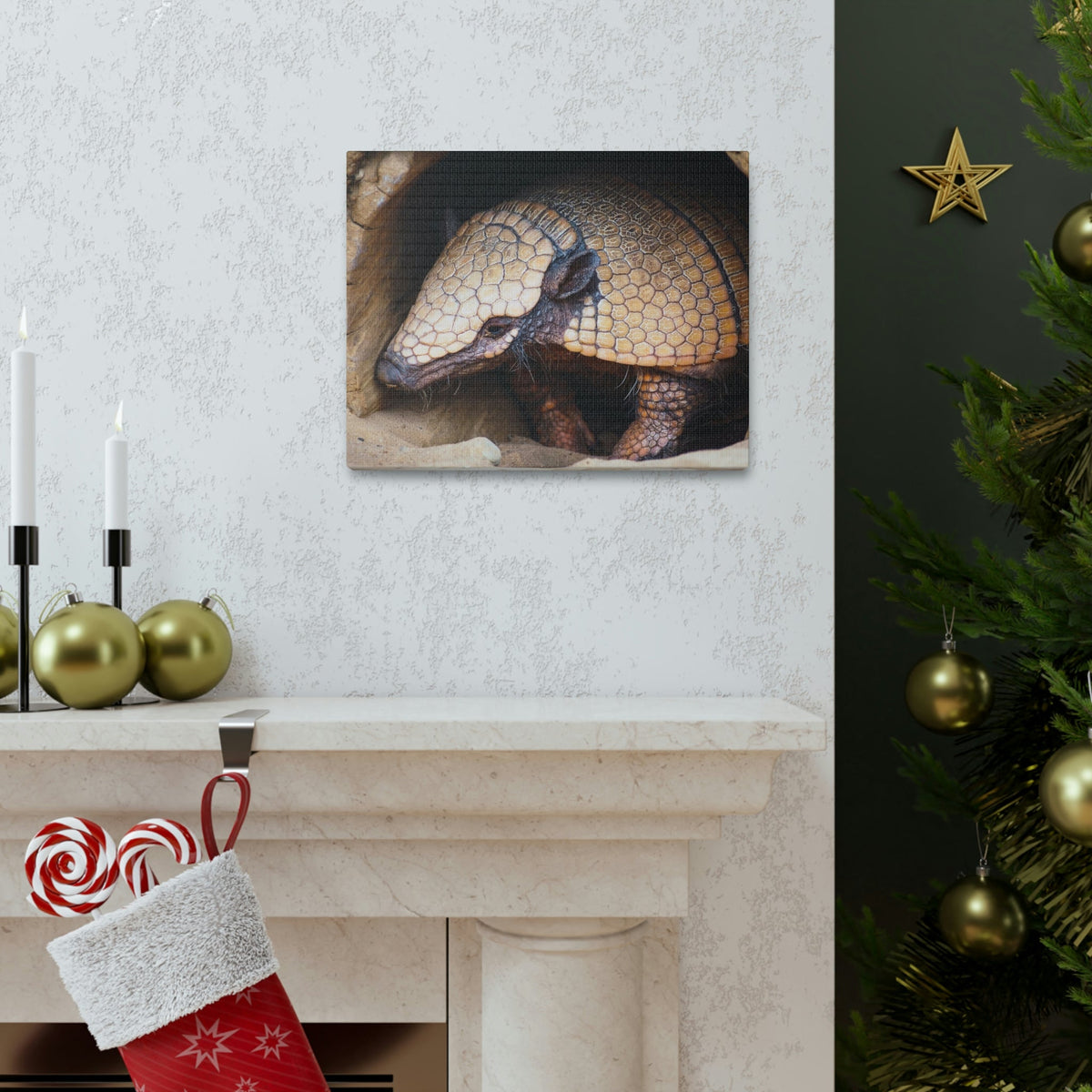 Coming Out Armadillo Portrait of Hairy Armadillo Wall Art Ready To Hang Unframed-Express Your Love Gifts