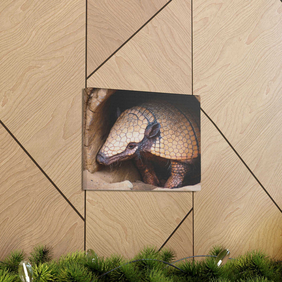 Coming Out Armadillo Portrait of Hairy Armadillo Wall Art Ready To Hang Unframed-Express Your Love Gifts