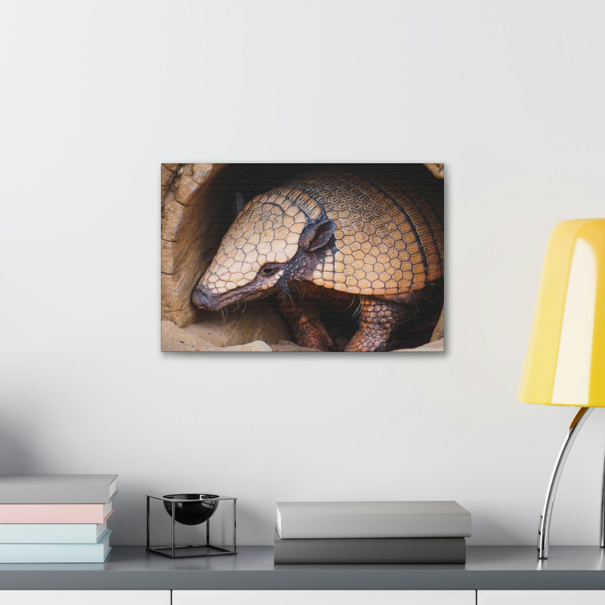 Coming Out Armadillo Portrait of Hairy Armadillo Wall Art Ready To Hang Unframed-Express Your Love Gifts