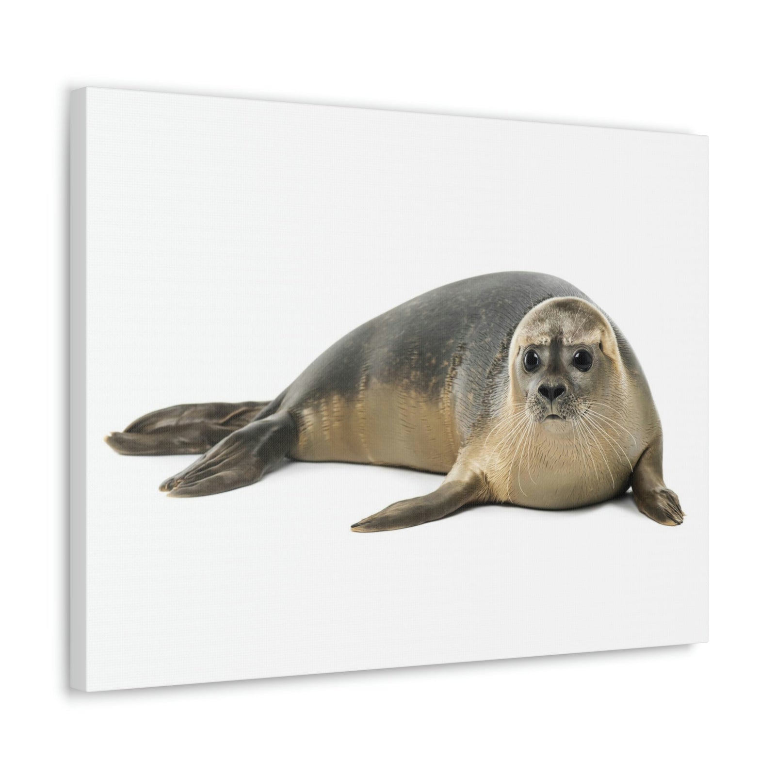 Scripture Walls Common Seal Hunting Common Seal on Hunt Print Animal Wall Art Wildlife Canvas Prints Wall Art Ready to Hang Unframed-Express Your Love Gifts
