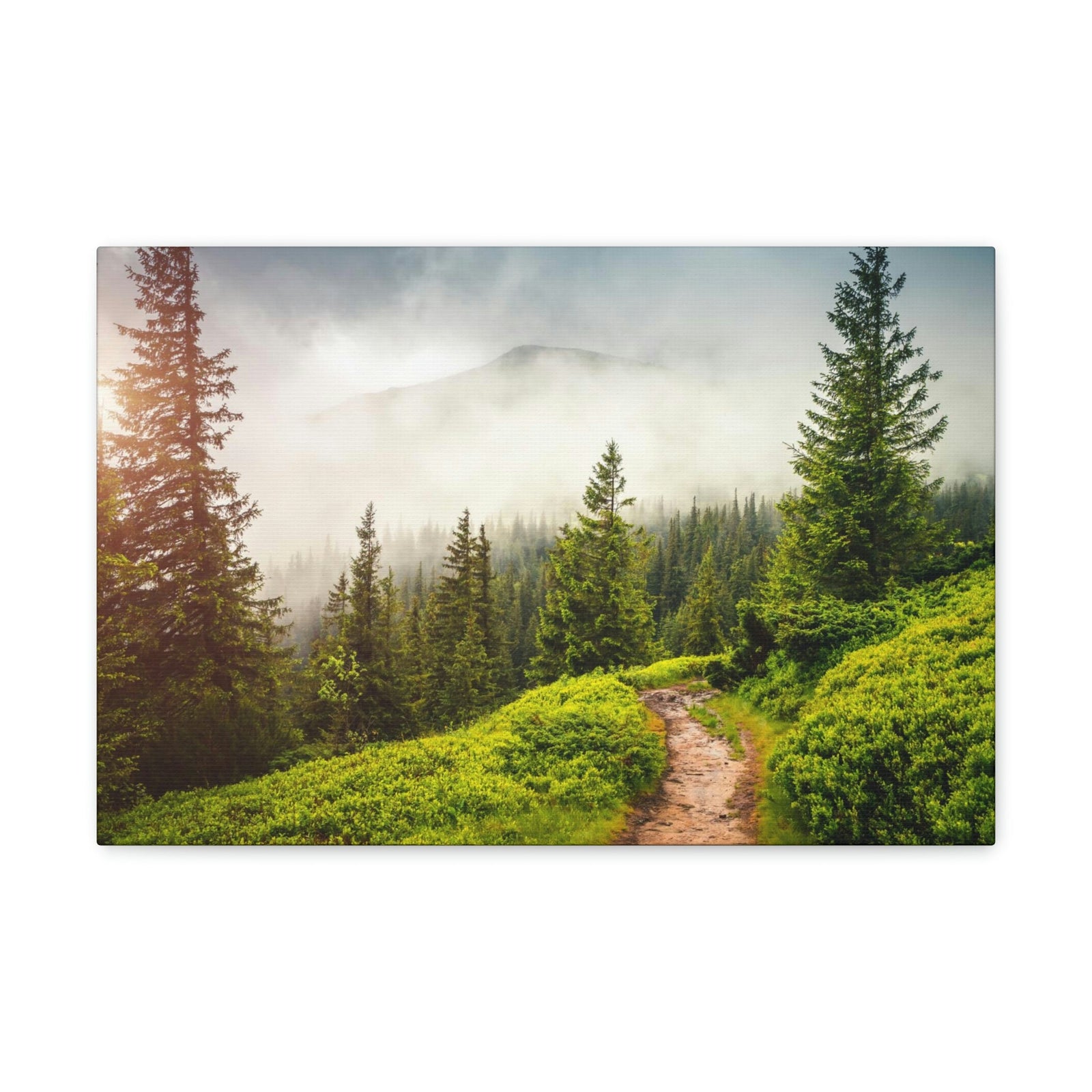 Coniferous Foggy Forest Scene Beautiful Fabulous and Mysterious Path Beauty Nature Scene Big Trees and Fogs Wall Art Ready to Hang Unframed-Express Your Love Gifts