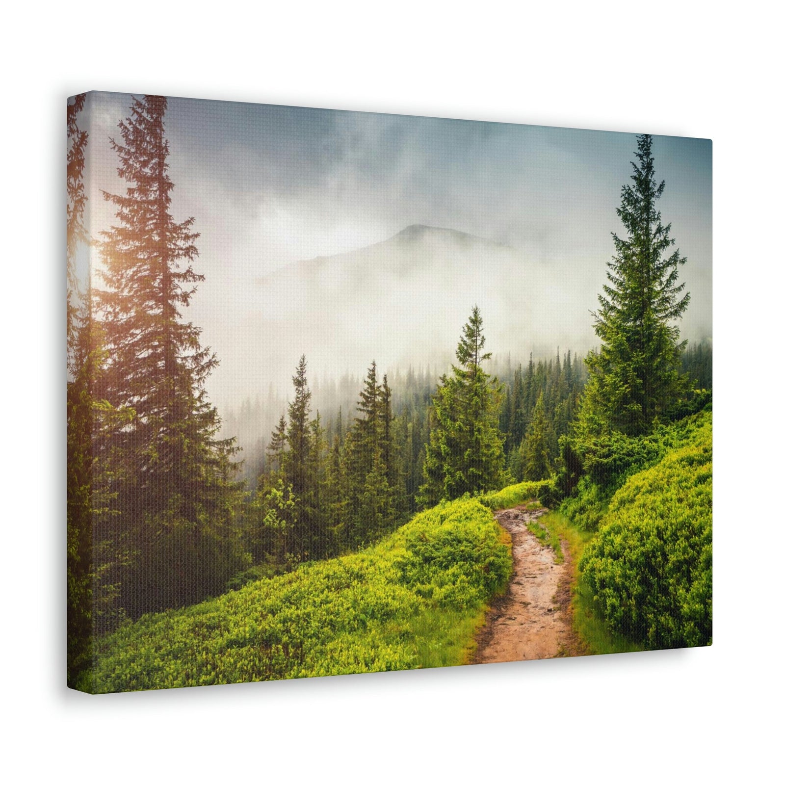 Coniferous Foggy Forest Scene Beautiful Fabulous and Mysterious Path Beauty Nature Scene Big Trees and Fogs Wall Art Ready to Hang Unframed-Express Your Love Gifts