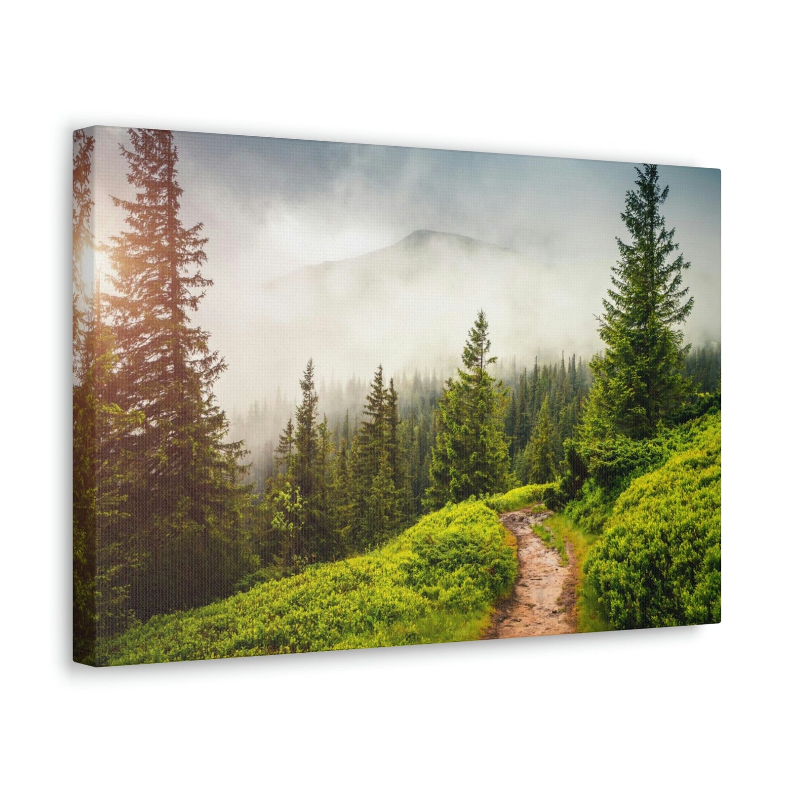 Coniferous Foggy Forest Scene Beautiful Fabulous and Mysterious Path Beauty Nature Scene Big Trees and Fogs Wall Art Ready to Hang Unframed-Express Your Love Gifts