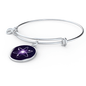 Cosmos (ATOM) Bracelet Stainless Steel or 18k Gold Circle Bangle-Express Your Love Gifts