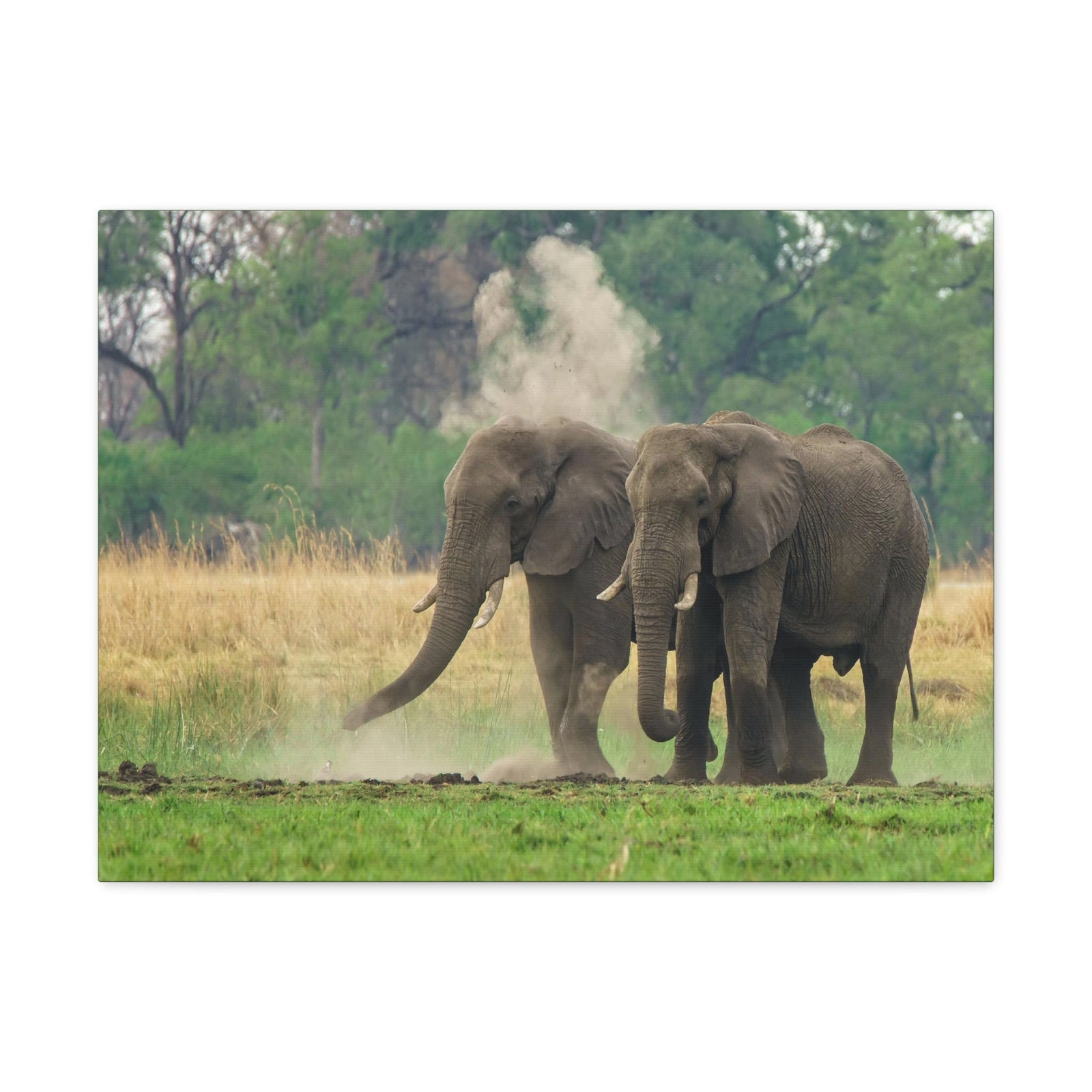 Couple of African Elephant Outdoor Wall Art Ready To Hang Unframed-Express Your Love Gifts