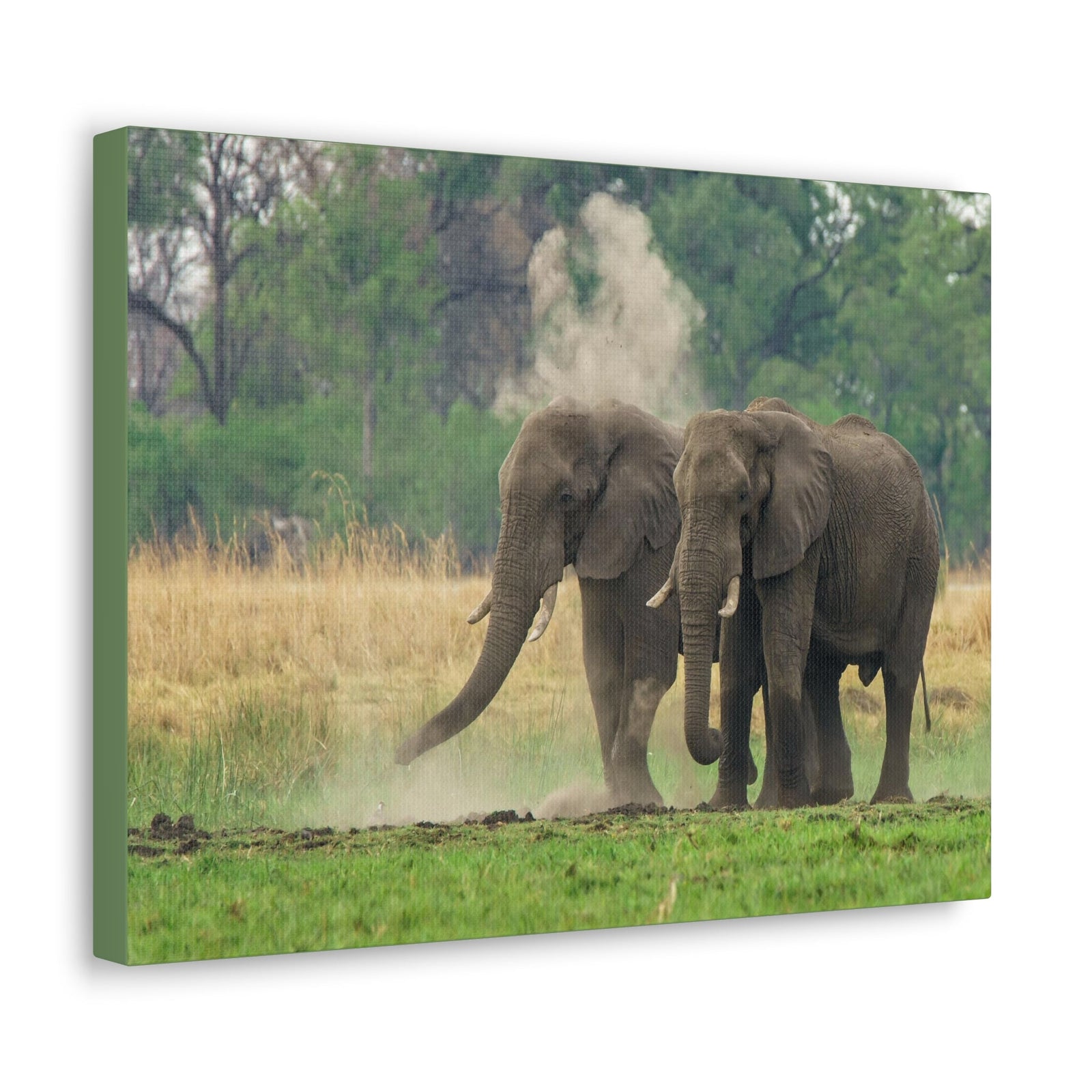 Couple of African Elephant Outdoor Wall Art Ready To Hang Unframed-Express Your Love Gifts
