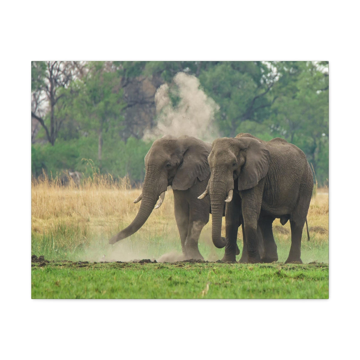 Couple of African Elephant Outdoor Wall Art Ready To Hang Unframed-Express Your Love Gifts