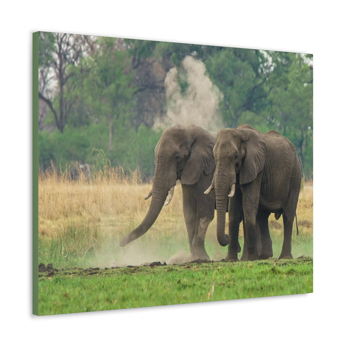 Couple of African Elephant Outdoor Wall Art Ready To Hang Unframed-Express Your Love Gifts