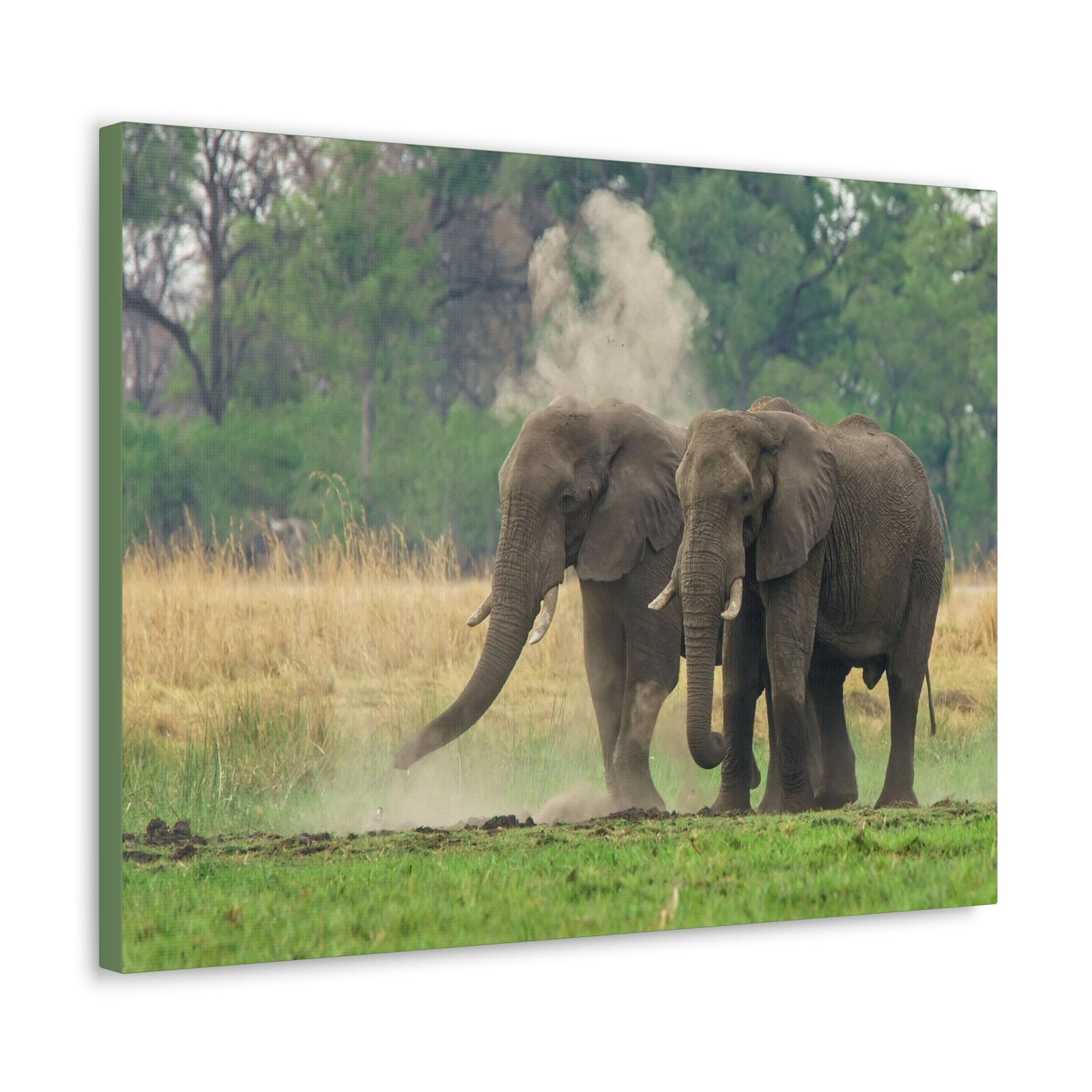 Couple of African Elephant Outdoor Wall Art Ready To Hang Unframed-Express Your Love Gifts