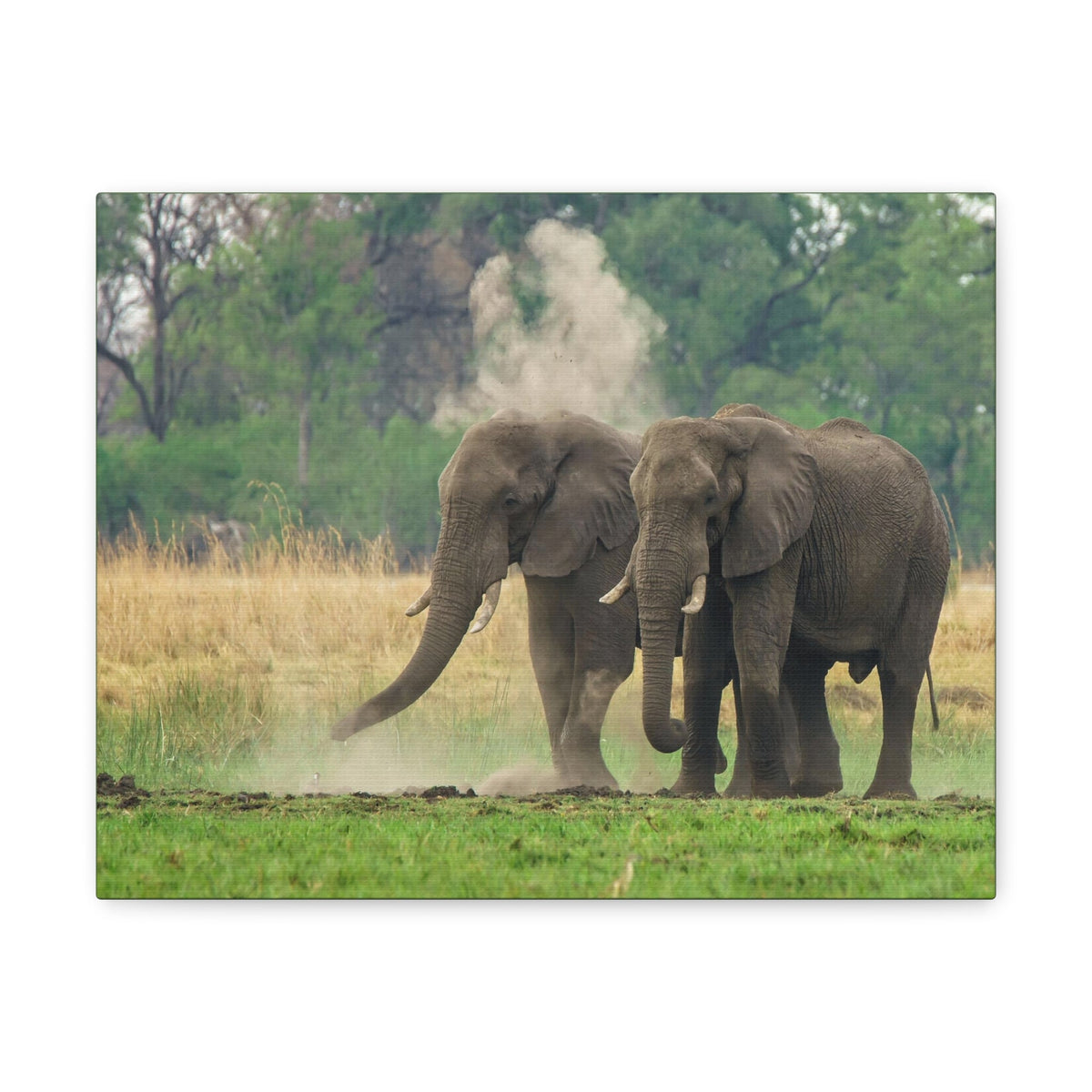 Couple of African Elephant Outdoor Wall Art Ready To Hang Unframed-Express Your Love Gifts