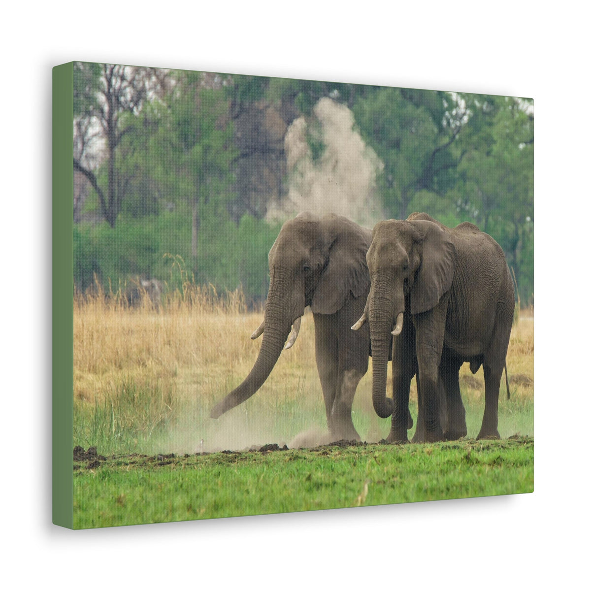 Couple of African Elephant Outdoor Wall Art Ready To Hang Unframed-Express Your Love Gifts