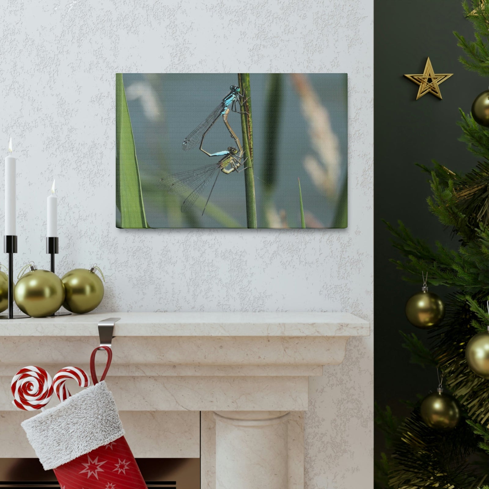 Scripture Walls Couple of Dragonfly on a Plant Print Animal Wall Art Wildlife Canvas Prints Wall Art Ready to Hang Unframed-Express Your Love Gifts