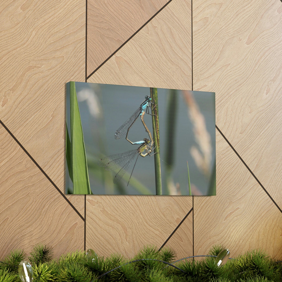 Scripture Walls Couple of Dragonfly on a Plant Print Animal Wall Art Wildlife Canvas Prints Wall Art Ready to Hang Unframed-Express Your Love Gifts