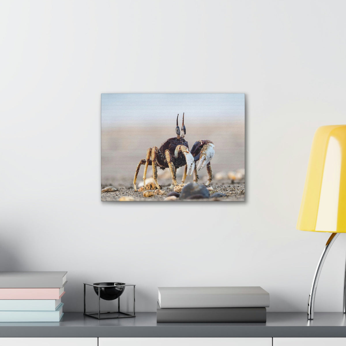 Scripture Walls Crab Hunting Crab on Hunt Print Animal Wall Art Wildlife Canvas Prints Wall Art Ready to Hang Unframed-Express Your Love Gifts