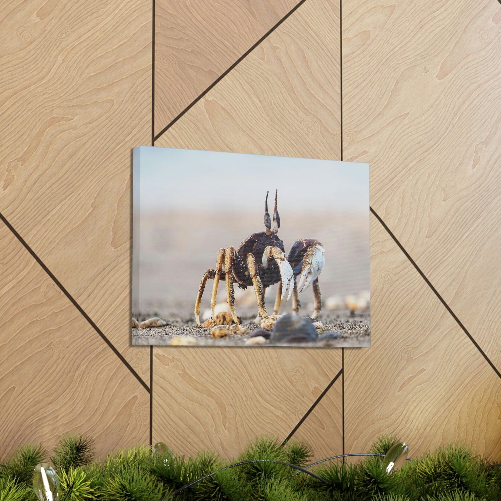 Scripture Walls Crab Hunting Crab on Hunt Print Animal Wall Art Wildlife Canvas Prints Wall Art Ready to Hang Unframed-Express Your Love Gifts