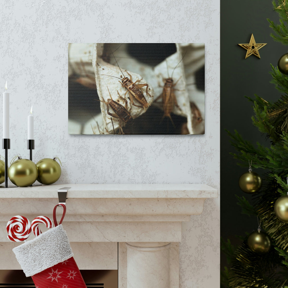 Scripture Walls Cricket Couple Cricket Troop Print Animal Wall Art Wildlife Canvas Prints Wall Art Ready to Hang Unframed-Express Your Love Gifts