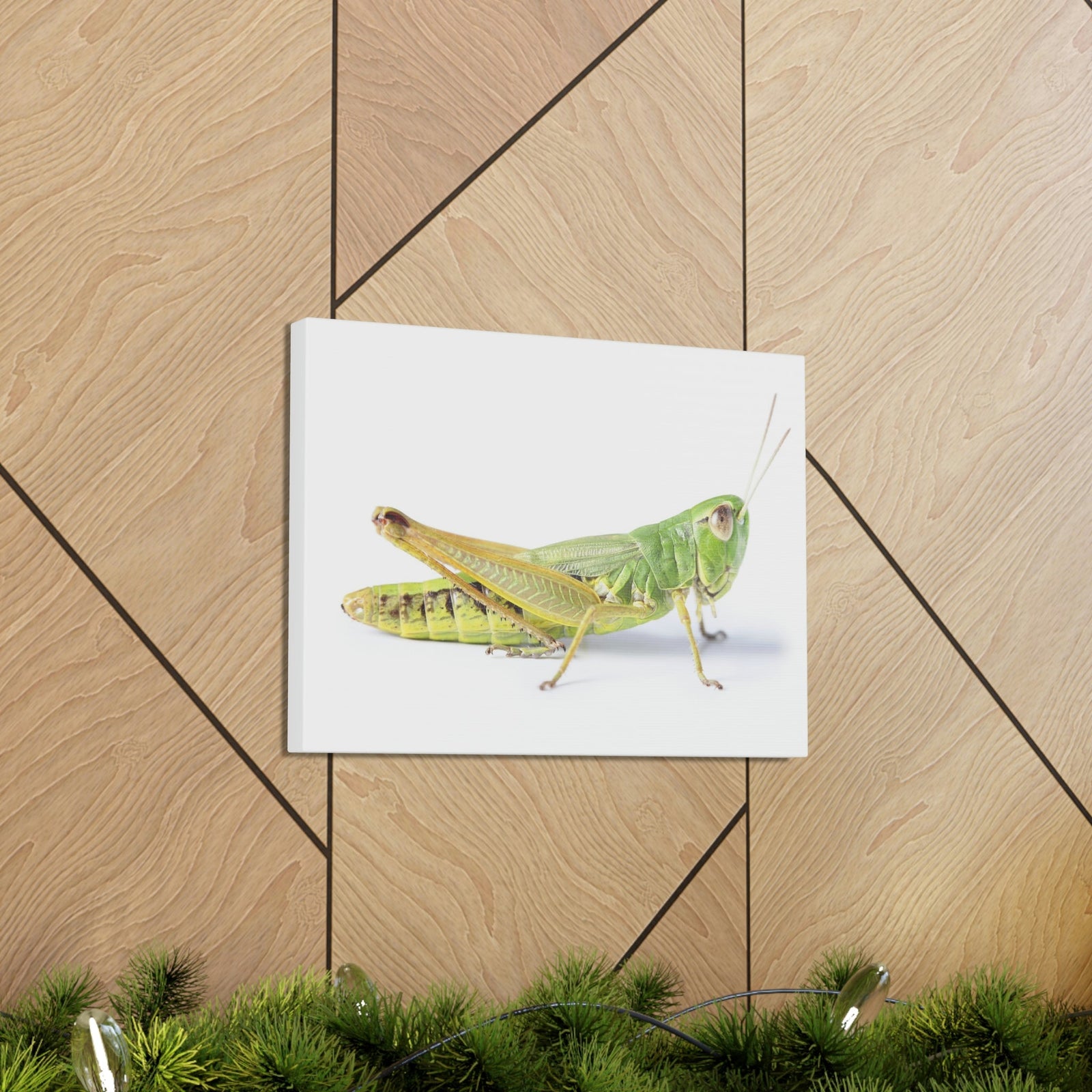 Scripture Walls Cricket Hunting Cricket on Hunt Print Animal Wall Art Wildlife Canvas Prints Wall Art Ready to Hang Unframed-Express Your Love Gifts