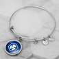 Crypto.com Coin (CRO) Bracelet Stainless Steel or 18k Gold Circle Bangle-Express Your Love Gifts
