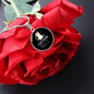 Cute Cat Caption Circle Necklace Stainless Steel or 18k Gold 18-22"-Express Your Love Gifts