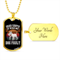 Dear Santa Necklace Stainless Steel or 18k Gold Dog Tag 24" Chain-Express Your Love Gifts
