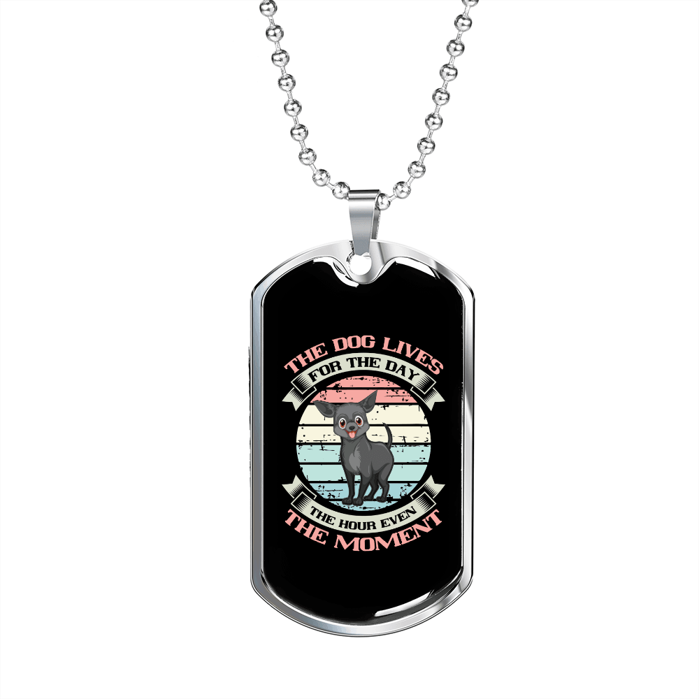 Dog Lives for The Day Necklace Stainless Steel or 18k Gold Dog Tag 24" Chain-Express Your Love Gifts