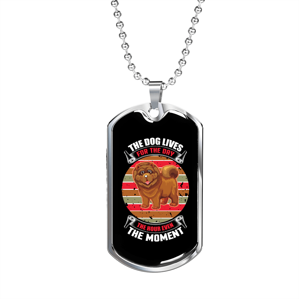 Dog Lives For The Moment Necklace Stainless Steel or 18k Gold Dog Tag 24" Chain-Express Your Love Gifts