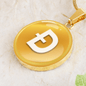 Dogecoin (DOGE) Circle Necklace Stainless Steel or 18k Gold 18-22"-Express Your Love Gifts
