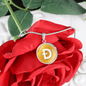 Dogecoin (DOGE) Circle Necklace Stainless Steel or 18k Gold 18-22"-Express Your Love Gifts