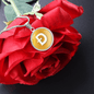 Dogecoin (DOGE) Circle Necklace Stainless Steel or 18k Gold 18-22"-Express Your Love Gifts