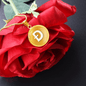 Dogecoin (DOGE) Circle Necklace Stainless Steel or 18k Gold 18-22"-Express Your Love Gifts