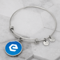 eCash (XEC) Bracelet Stainless Steel or 18k Gold Circle Bangle-Express Your Love Gifts