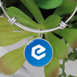 eCash (XEC) Bracelet Stainless Steel or 18k Gold Circle Bangle-Express Your Love Gifts