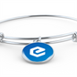 eCash (XEC) Bracelet Stainless Steel or 18k Gold Circle Bangle-Express Your Love Gifts
