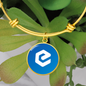 eCash (XEC) Bracelet Stainless Steel or 18k Gold Circle Bangle-Express Your Love Gifts