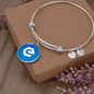 eCash (XEC) Bracelet Stainless Steel or 18k Gold Circle Bangle-Express Your Love Gifts
