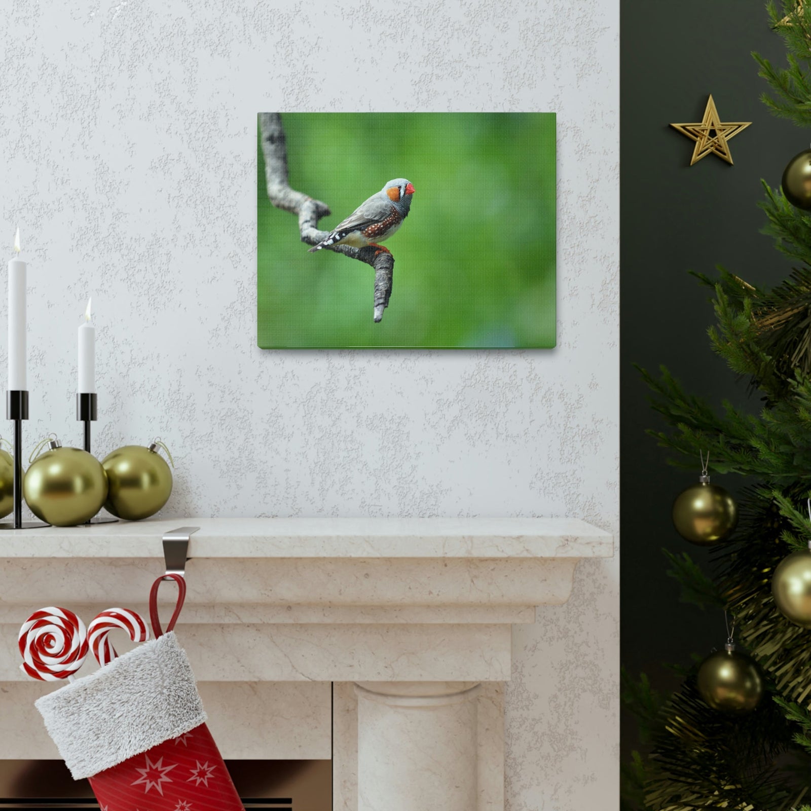 Scripture Walls Exotic Zebra Finch Sitting on a Tree Branch Print Animal Wall Art Wildlife Canvas Prints Wall Art Ready to Hang Unframed-Express Your Love Gifts