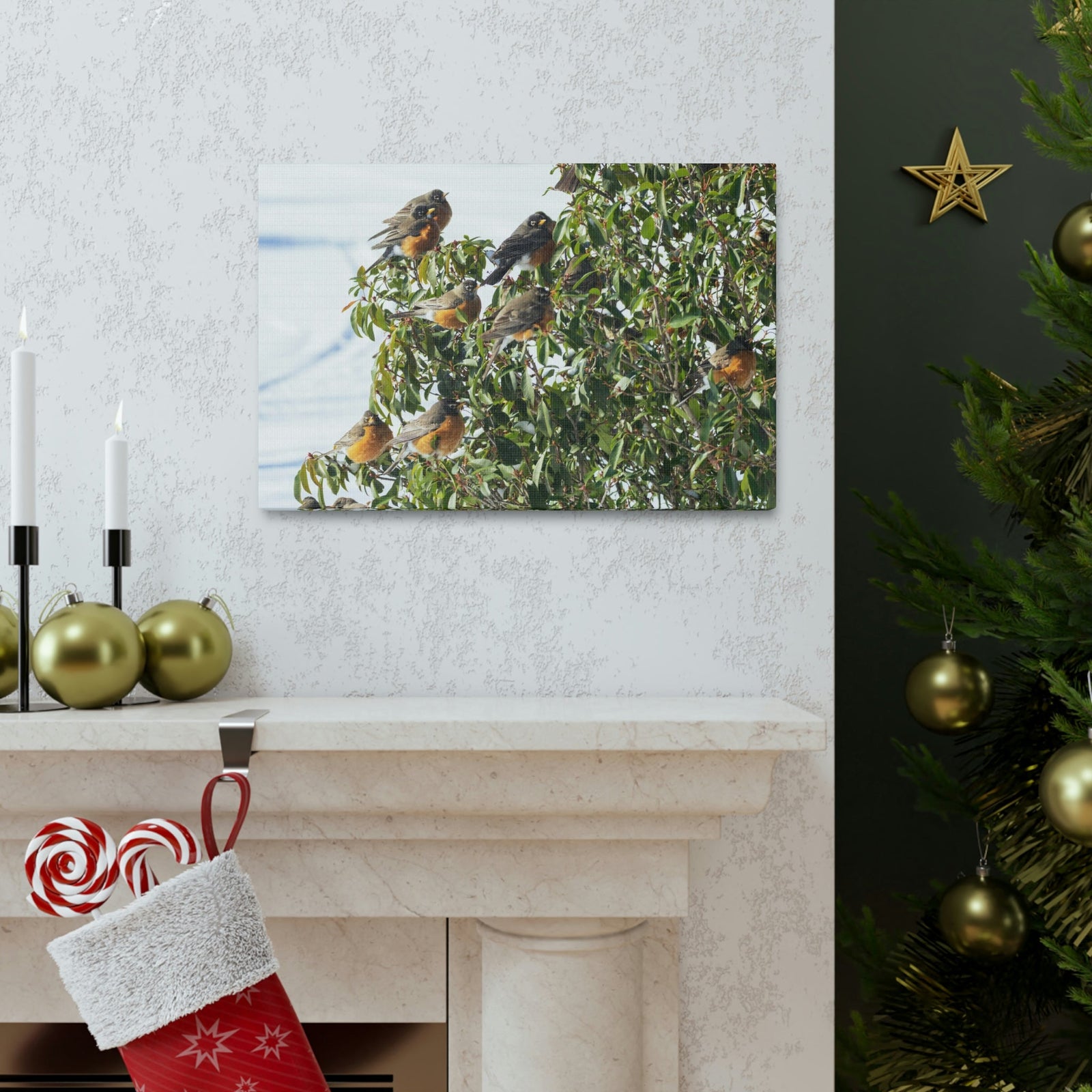 Scripture Walls Flock of American Robins on a Tree Print Animal Wall Art Wildlife Canvas Prints Wall Art Ready to Hang Unframed-Express Your Love Gifts