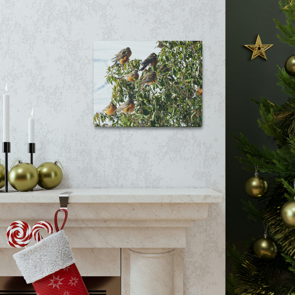 Scripture Walls Flock of American Robins on a Tree Print Animal Wall Art Wildlife Canvas Prints Wall Art Ready to Hang Unframed-Express Your Love Gifts