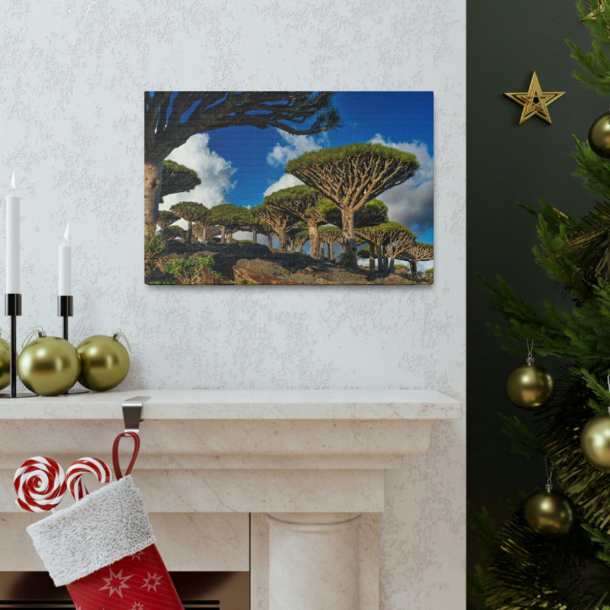 Forest Area With Lush Trees and Vegetation Scene Beautiful Amazing and Lovely Sea Beauty Nature Scene Big Mountains and Shore Wall Art Ready to Hang Unframed-Express Your Love Gifts