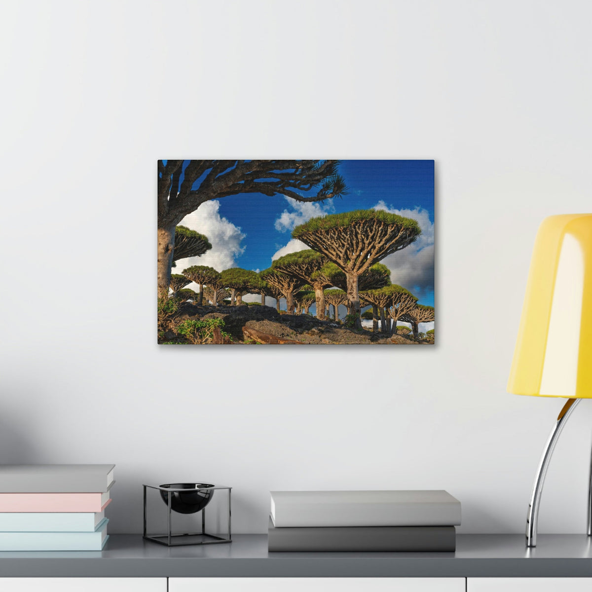 Forest Area With Lush Trees and Vegetation Scene Beautiful Amazing and Lovely Sea Beauty Nature Scene Big Mountains and Shore Wall Art Ready to Hang Unframed-Express Your Love Gifts