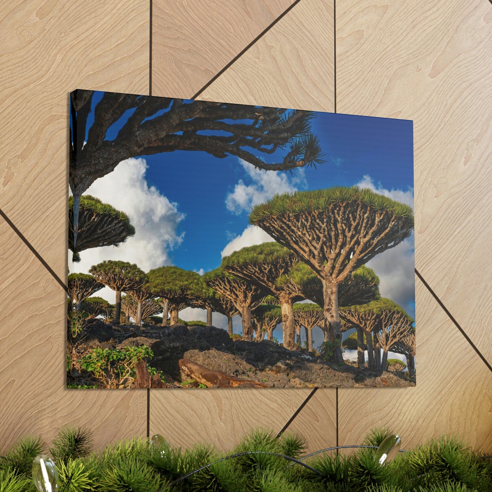 Forest Area With Lush Trees and Vegetation Scene Beautiful Amazing and Lovely Sea Beauty Nature Scene Big Mountains and Shore Wall Art Ready to Hang Unframed-Express Your Love Gifts