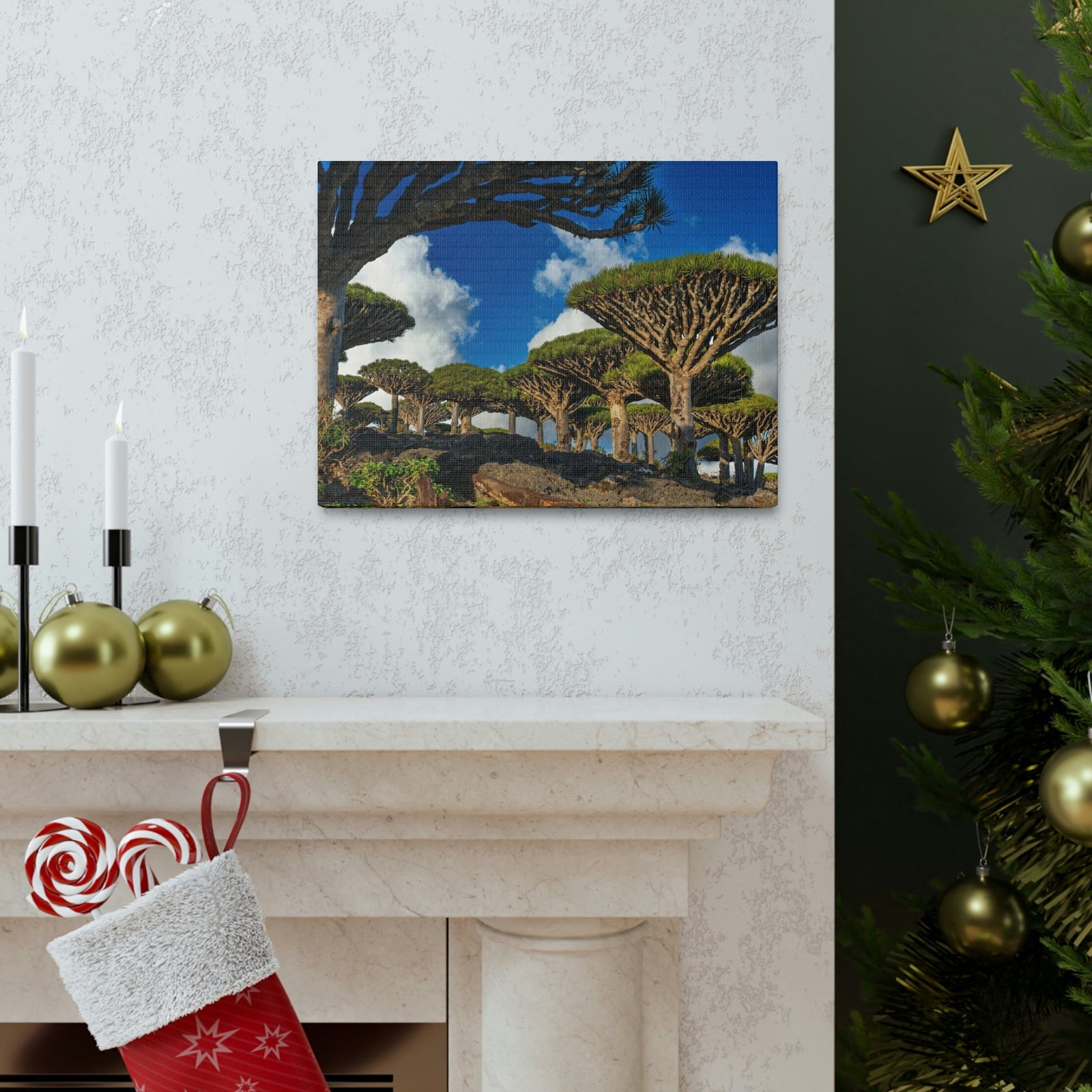 Forest Area With Lush Trees and Vegetation Scene Beautiful Amazing and Lovely Sea Beauty Nature Scene Big Mountains and Shore Wall Art Ready to Hang Unframed-Express Your Love Gifts