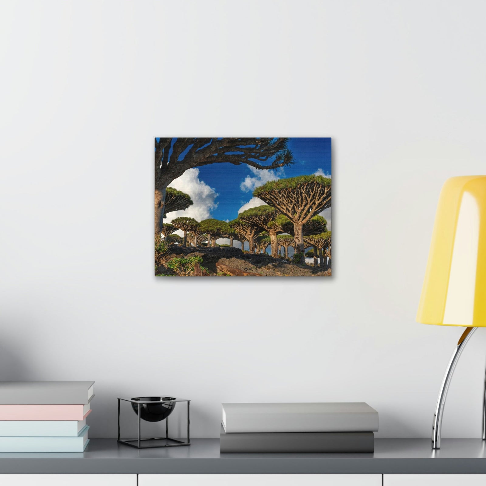 Forest Area With Lush Trees and Vegetation Scene Beautiful Amazing and Lovely Sea Beauty Nature Scene Big Mountains and Shore Wall Art Ready to Hang Unframed-Express Your Love Gifts