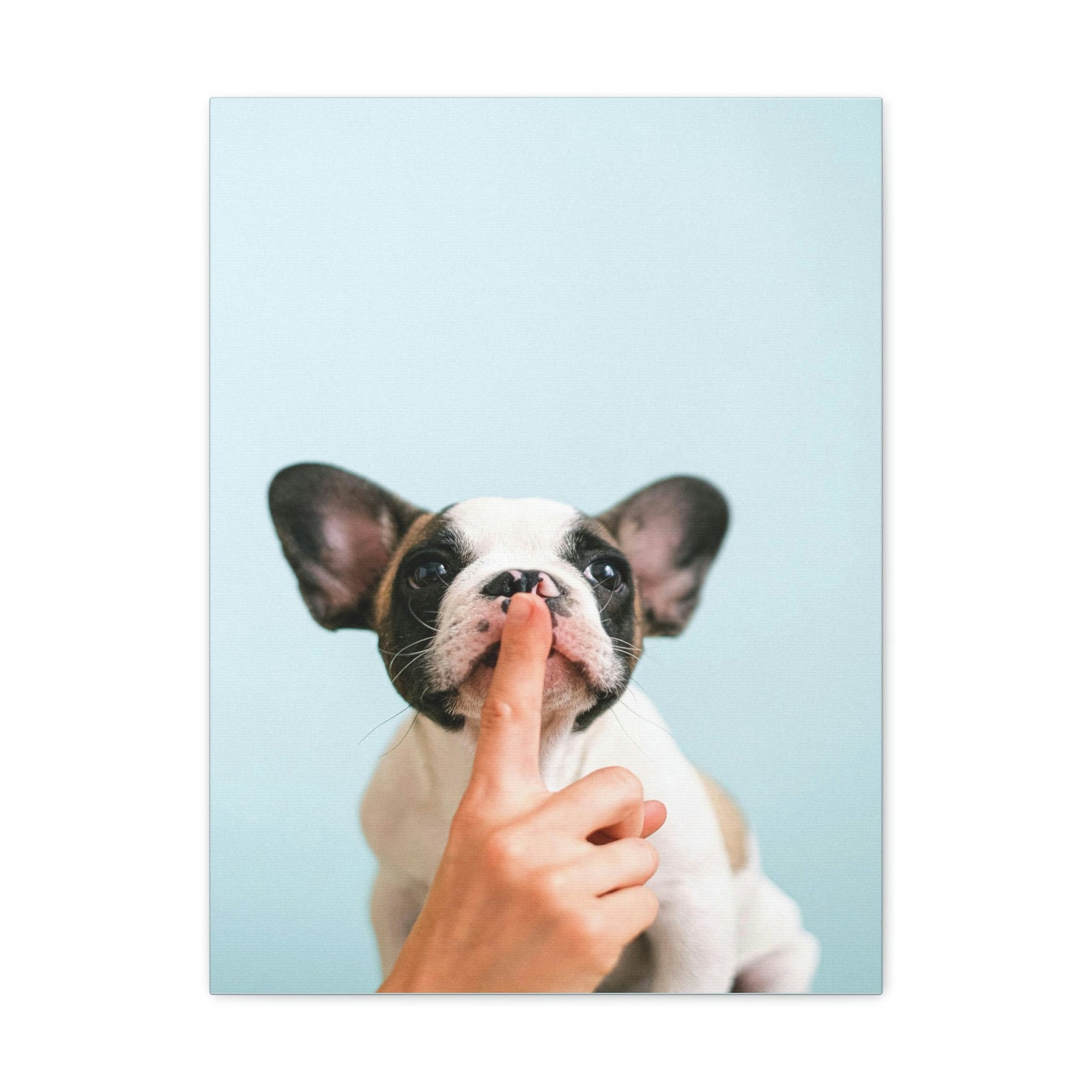 French Bulldog Says Quiet Canvas Wall Art Unframed-Express Your Love Gifts