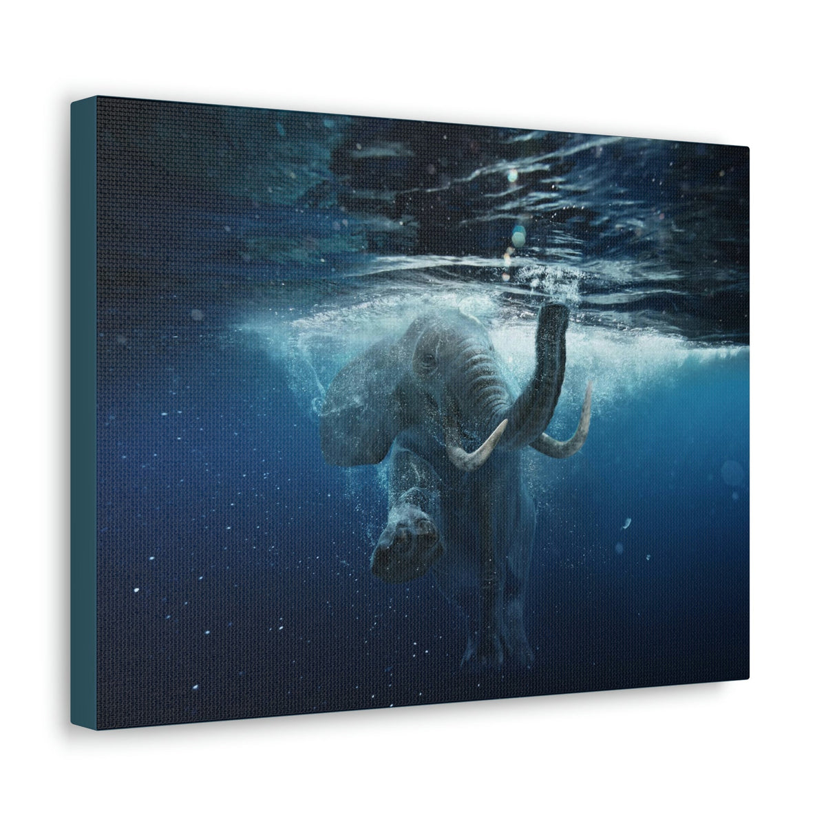 Funny African Elephant Silly African Elephant Outside Wall Art Ready to Hang Unframed-Express Your Love Gifts