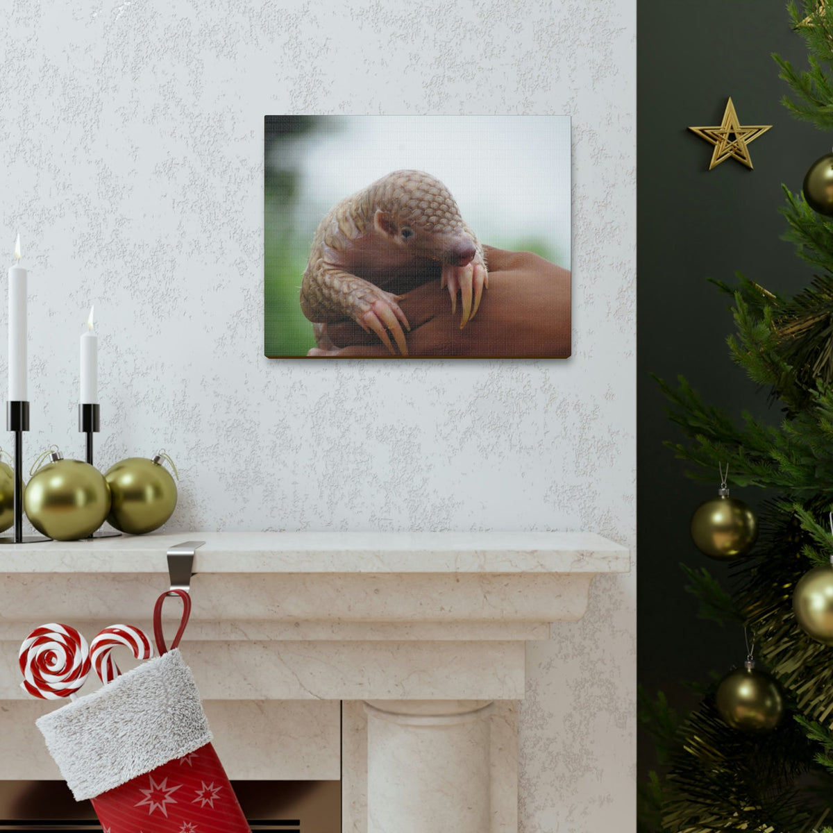 Funny African Tree Pangolin Silly African Tree Pangolin Inside Wall Art Ready to Hang Unframed-Express Your Love Gifts