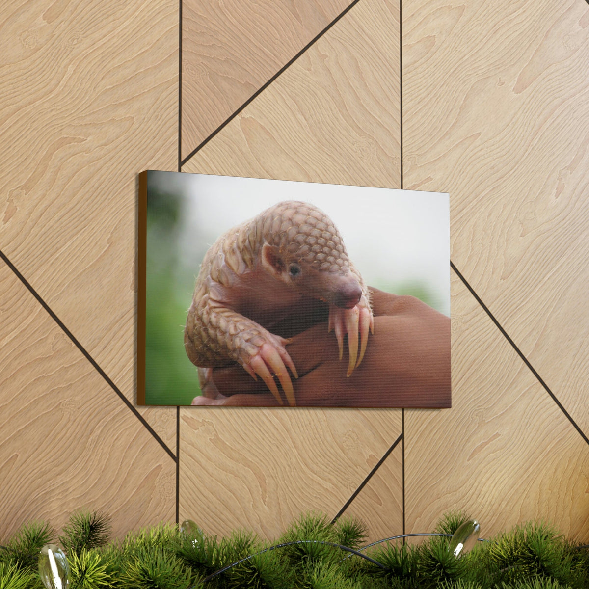 Funny African Tree Pangolin Silly African Tree Pangolin Inside Wall Art Ready to Hang Unframed-Express Your Love Gifts
