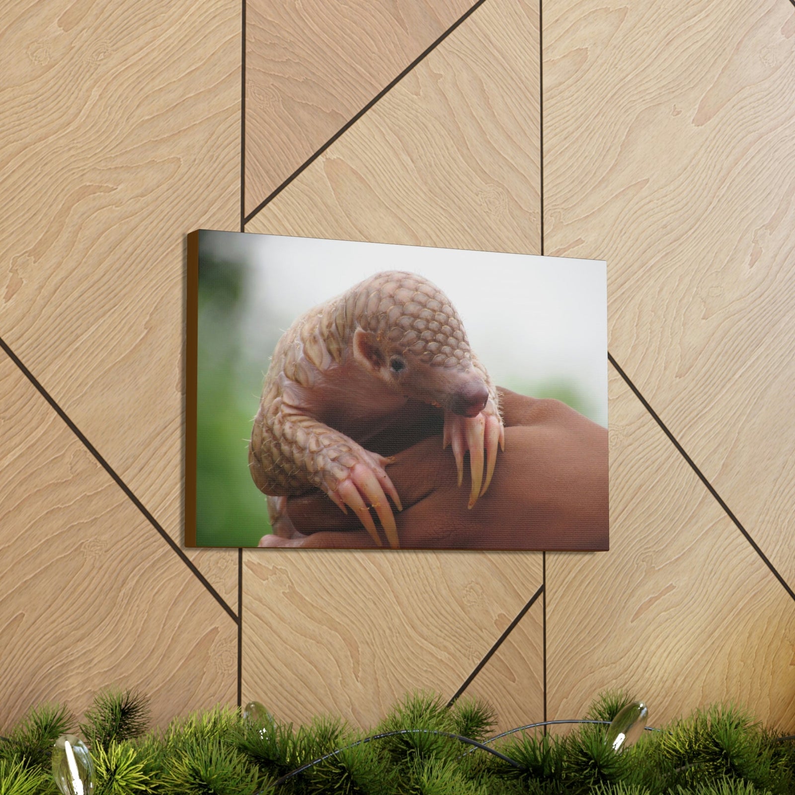 Funny African Tree Pangolin Silly African Tree Pangolin Inside Wall Art Ready to Hang Unframed-Express Your Love Gifts