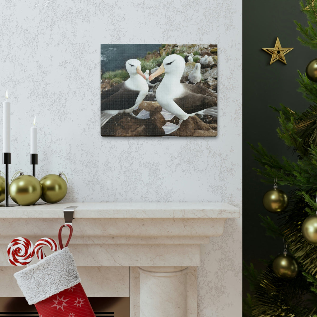 Funny Albatross Kissing Close Up Outside Wall Art Ready to Hang Unframed-Express Your Love Gifts
