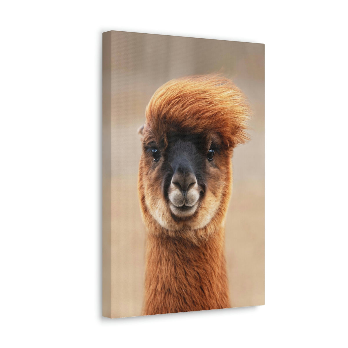 Funny Alpaca Selfie Outside Wall Art Ready to Hang Unframed-Express Your Love Gifts